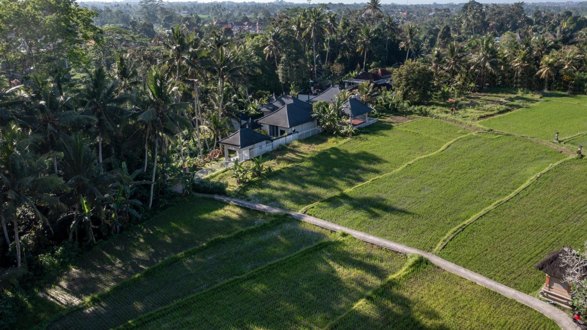 Capung Asri Eco Luxury Resort With Private Pool Villas Bedahulu Luaran gambar