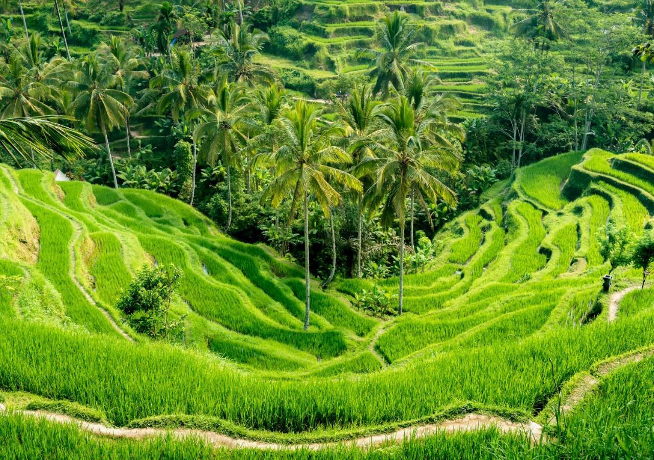 Capung Asri Eco Luxury Resort With Private Pool Villas Bedahulu Luaran gambar