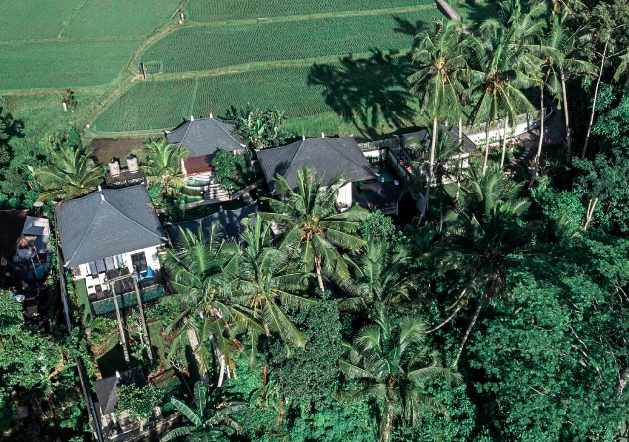 Capung Asri Eco Luxury Resort With Private Pool Villas Bedahulu Luaran gambar